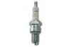 CHAMPION OE108/T10 Spark Plug